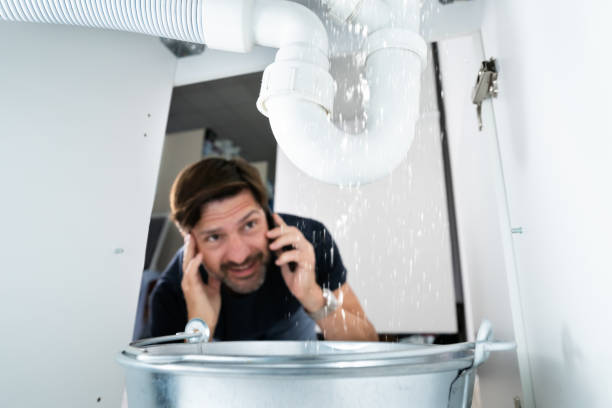 Best Plumbing Repair Near Me  in Winthrop Harbor, IL