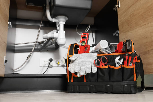 Best Toilet Repair Services  in Winthrop Harbor, IL