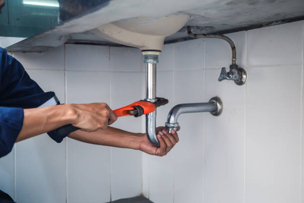 Best Toilet Repair Services  in Winthrop Harbor, IL