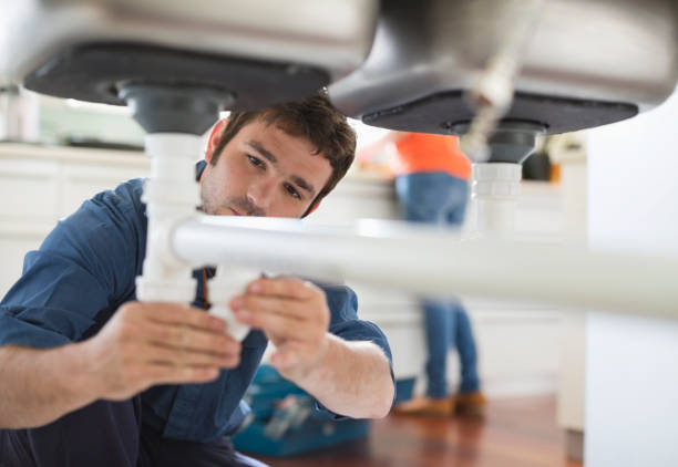 Best Commercial Plumbing Services  in Winthrop Harbor, IL