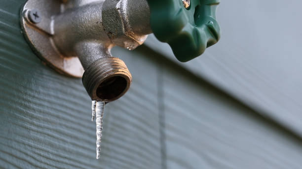 Best Clogged Drain Plumber  in Winthrop Harbor, IL