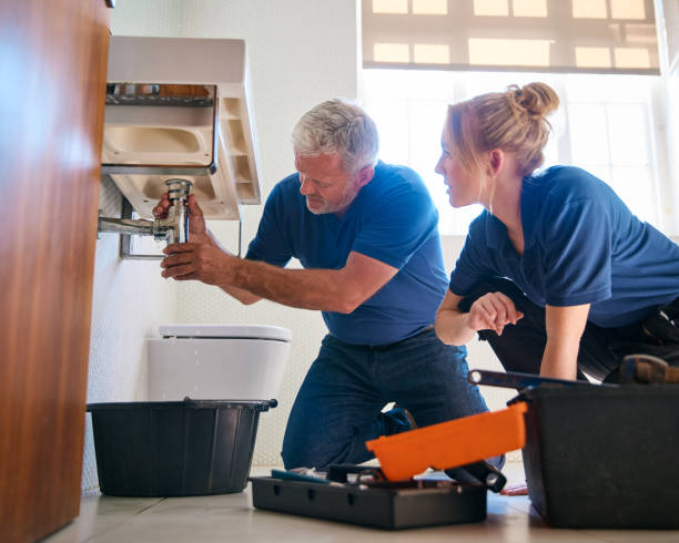Best Drain Cleaning Services  in Winthrop Harbor, IL