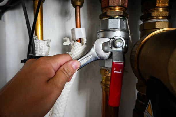 Best Shower Repair Services  in Winthrop Harbor, IL